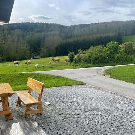 Ferienwohnung ,Hoizmann' Pinsdorf Exterior foto
