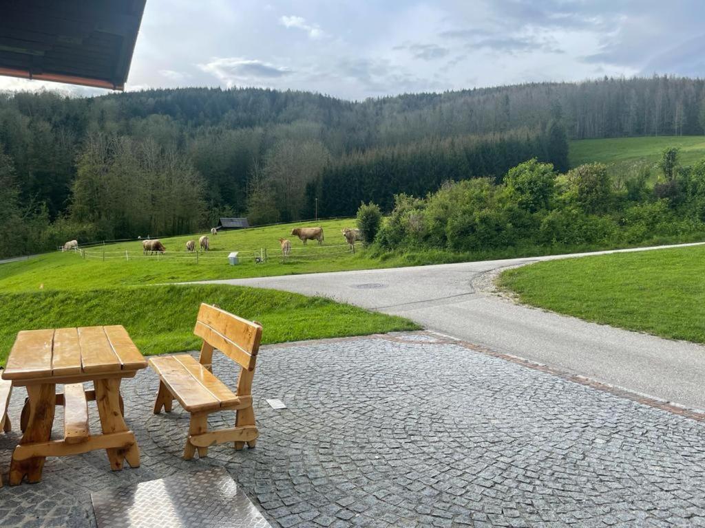 Ferienwohnung ,Hoizmann' Pinsdorf Exterior foto
